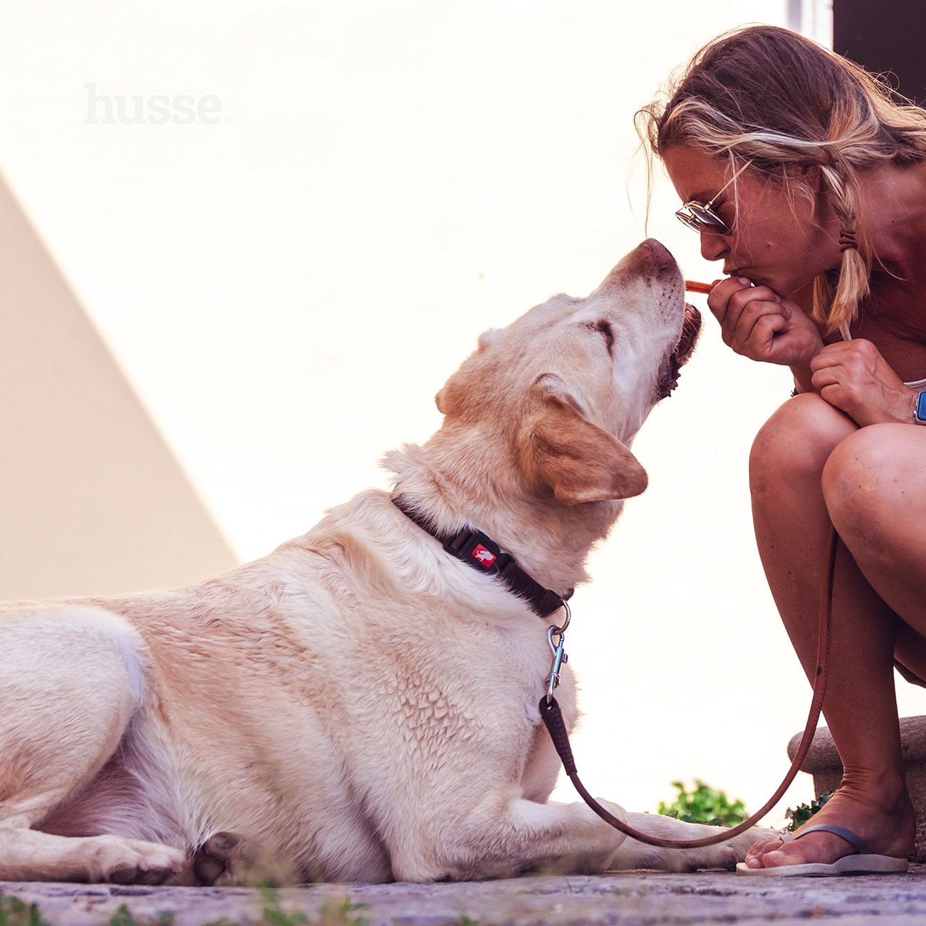 KYCKLINGFILÉ | File de pui delicios, gătit la cuptor, îmbogățit cu glucozamină și condroitină