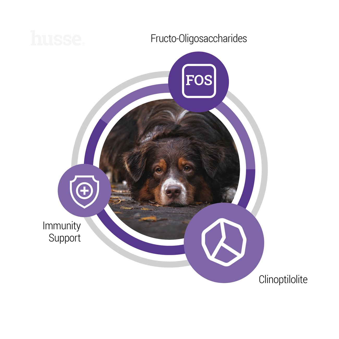 SENIOR | Hrană uscată completă Super Premium, pentru satisfacerea nevoilor nutriționale unice ale câinilor în vârstă