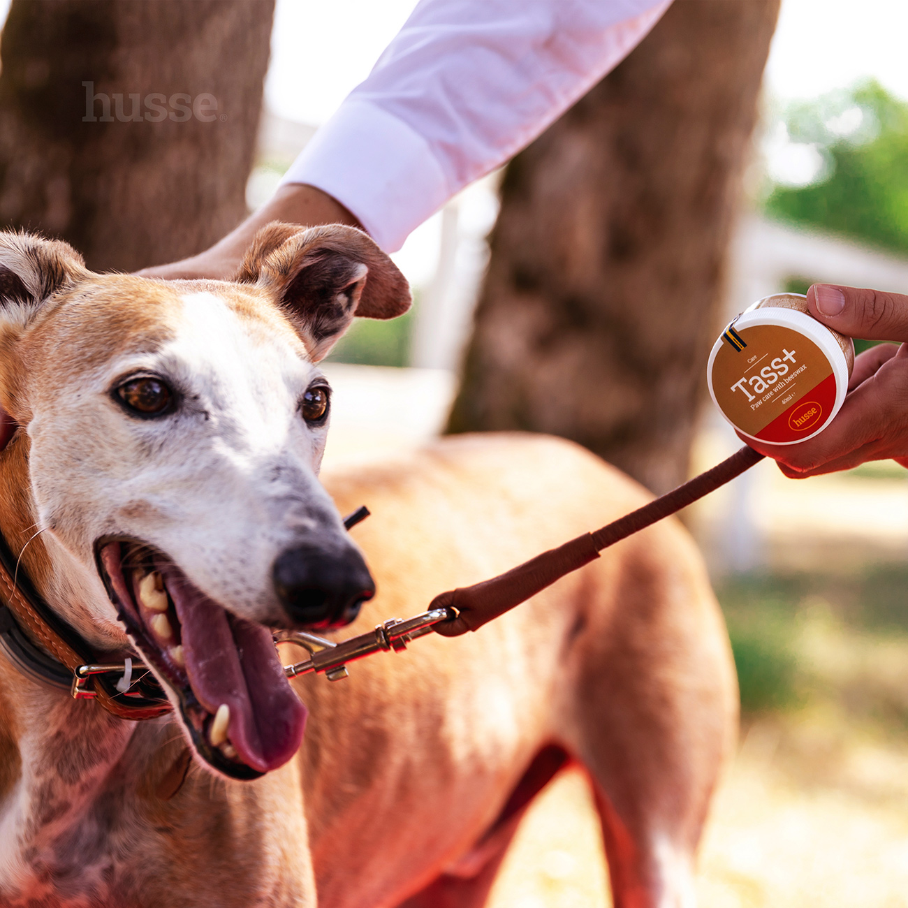 TASS PLUS | Unguent pentru lăbuțe pe bază de ceară de albine