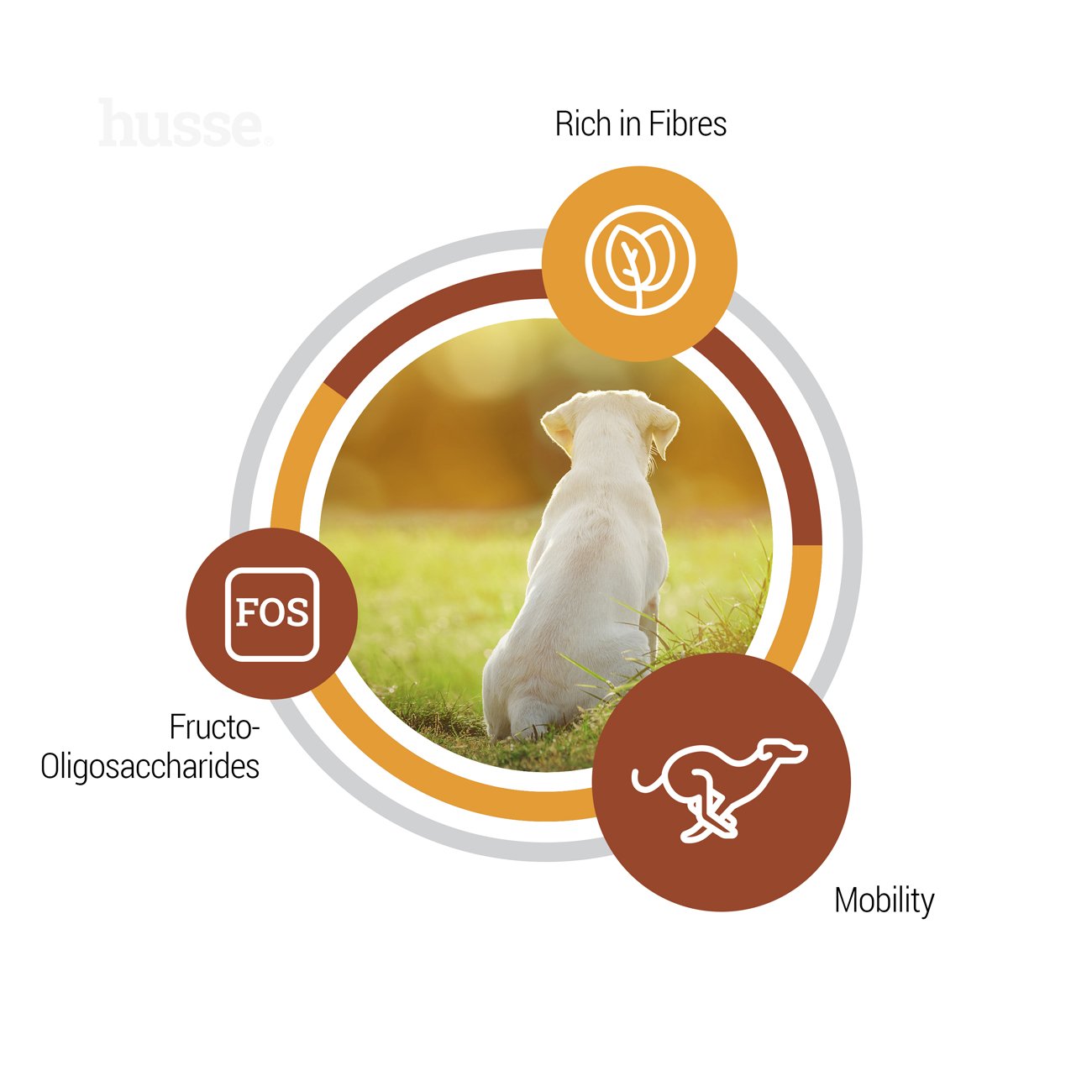 VALP MAXI (Puppy) | Hrană uscată completă Super Premium, pentru cățelușii de talie mare și femelele gestante sau care alăptează