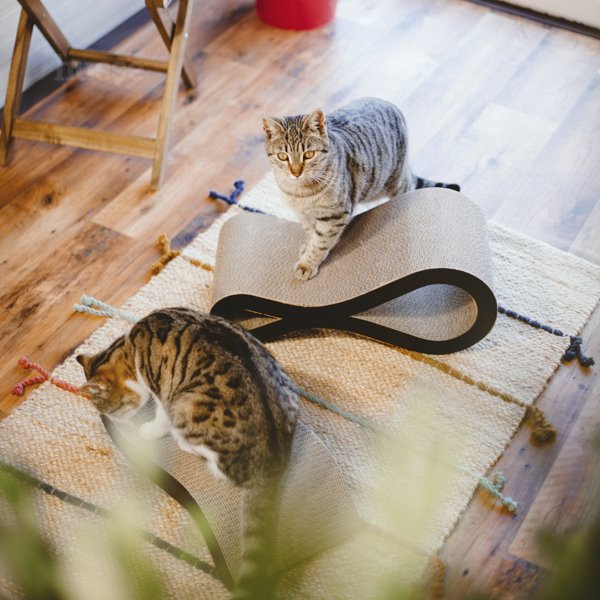 KRUSA | Panou de zgârieturi pentru pisici