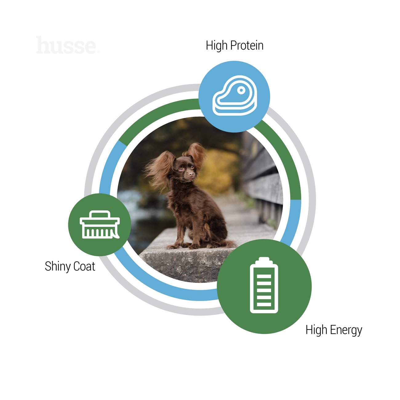 OPTIMAL MINI | Hrană uscată completă Super Premium, fără gluten, pentru câinii adulți de talie mică cu nevoi energetice ridicate