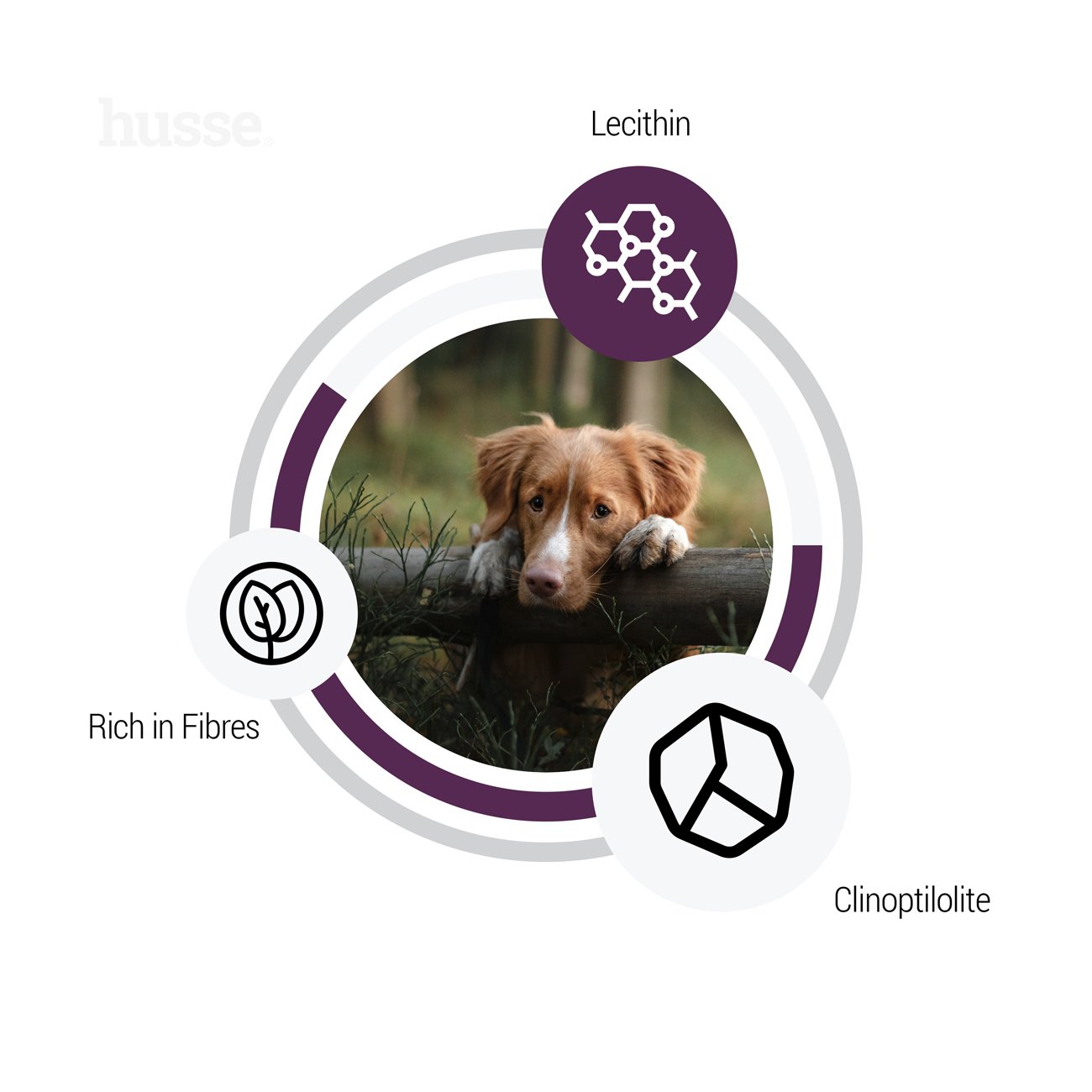 LIGHT SENSITIVE | Hrană uscată completă Super Premium, fără gluten cu conținut moderat de energie pentru un control optim al greutății