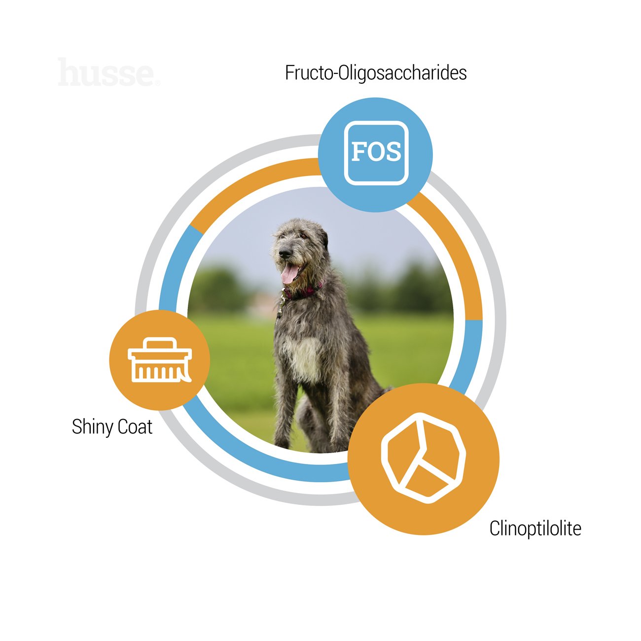 OPTIMAL GIANT | Hrană uscată completă Super Premium care susține nevoile nutriționale ale câinilor de talie mare