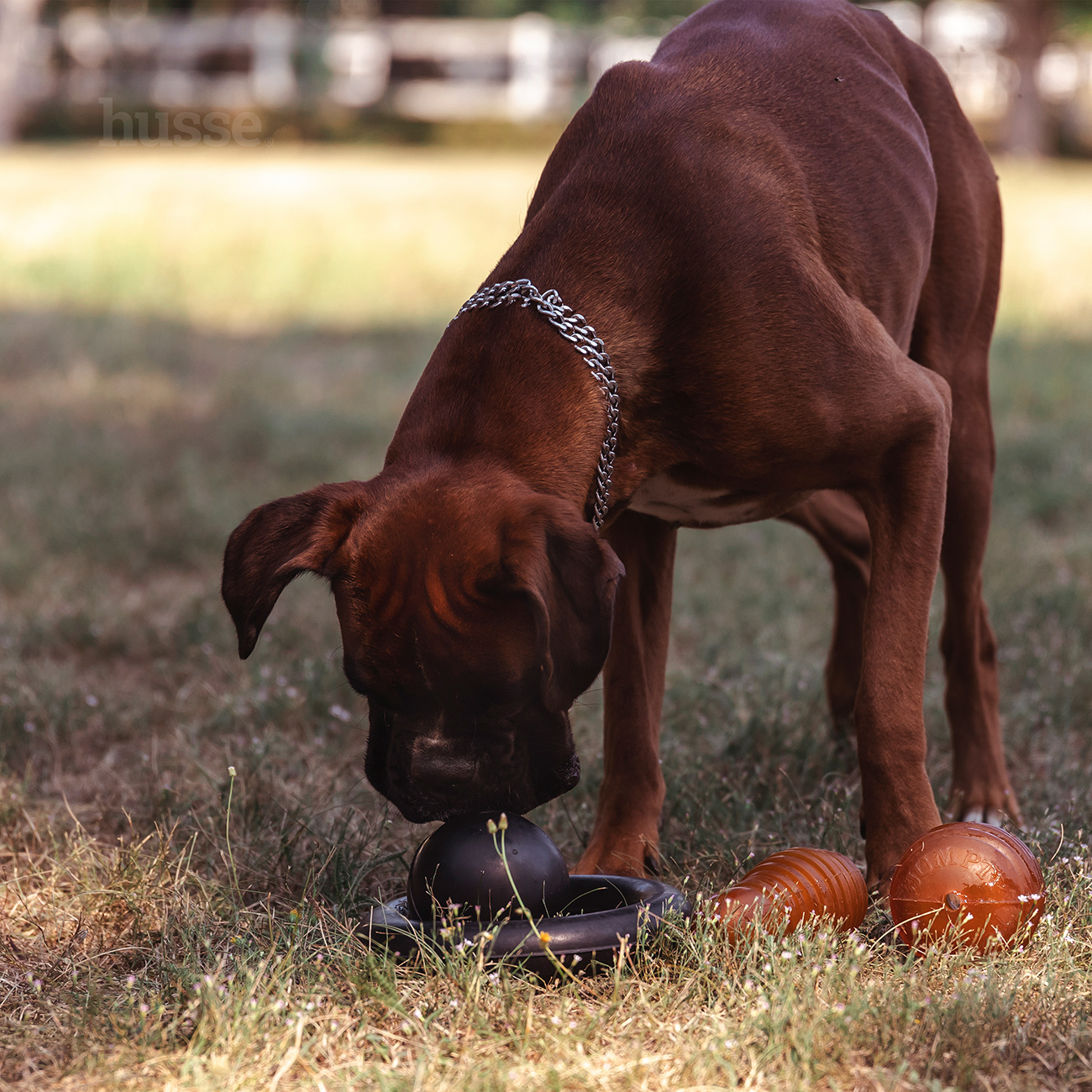 KÄGEL | Jucărie din cauciuc în formă de popice
