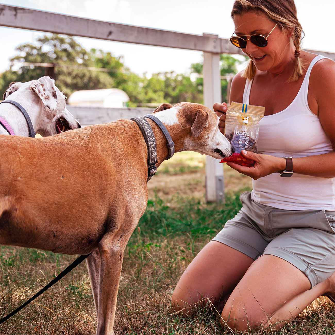 BRAVO L | Gustări delicioase cu miel, fără gluten, pentru câini cu sensibilități digestive