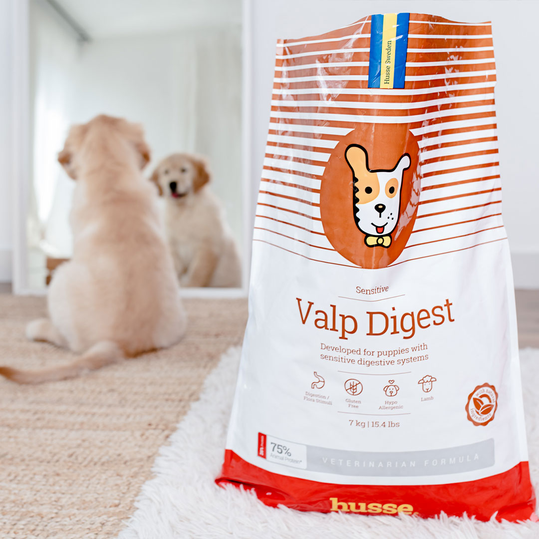 VALP DIGEST SENSITIVE (Puppy) | Hrană uscată completă Super Premium, hipoalergenică, pentru cățelușii cu sisteme digestive sensibile sau predispuși la alergii