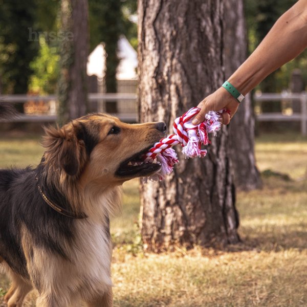 ROPE TOY | Jucărie ideală pentru câini, din frânghie înnodată, foarte rezistentă