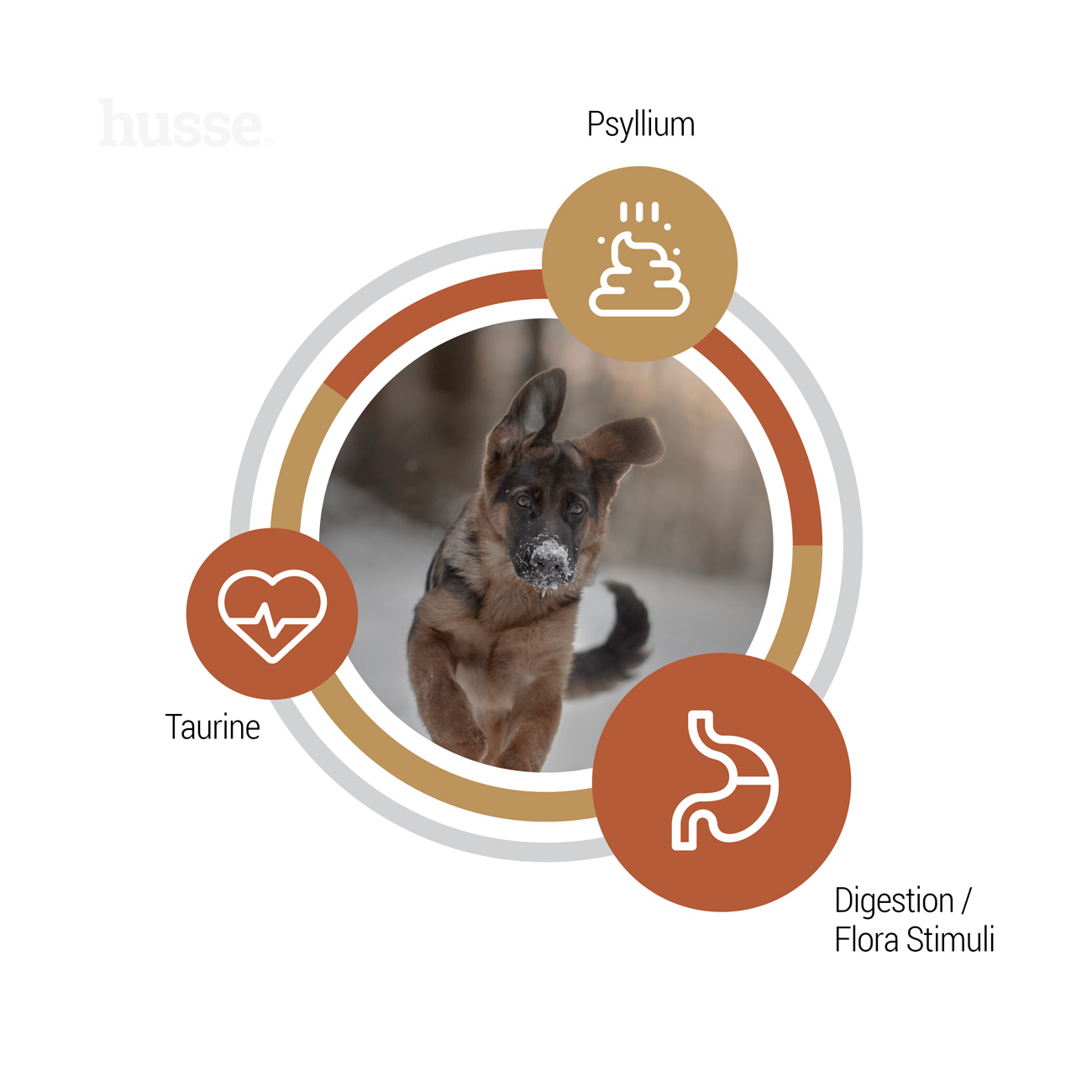 Valp Farm (Puppy) | Hrană uscată completă Super Premium, pentru cățeluși și femele gestante sau care alăptează cu sensibilități și intoleranțe digestive