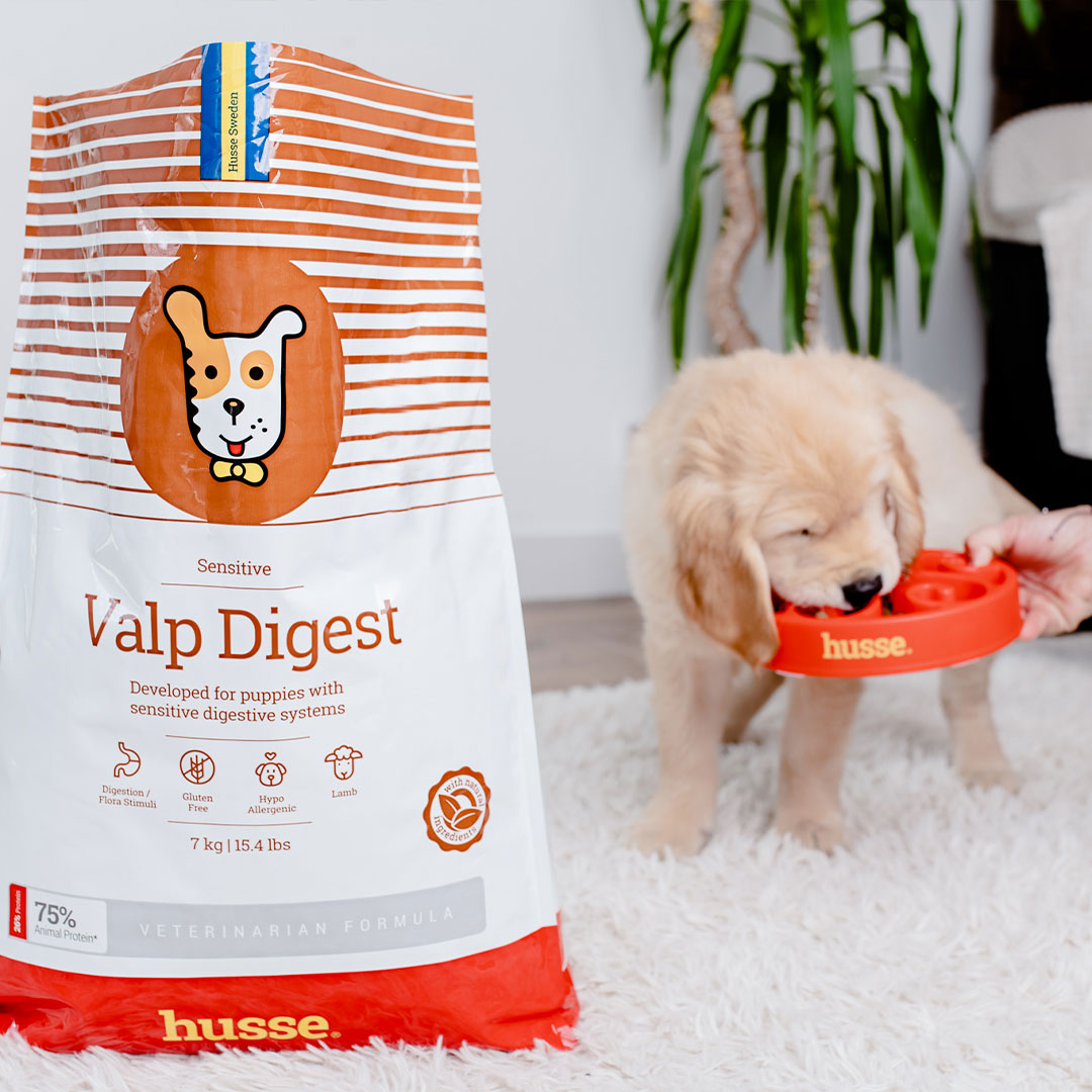 VALP DIGEST SENSITIVE (Puppy) | Hrană uscată completă Super Premium, hipoalergenică, pentru cățelușii cu sisteme digestive sensibile sau predispuși la alergii