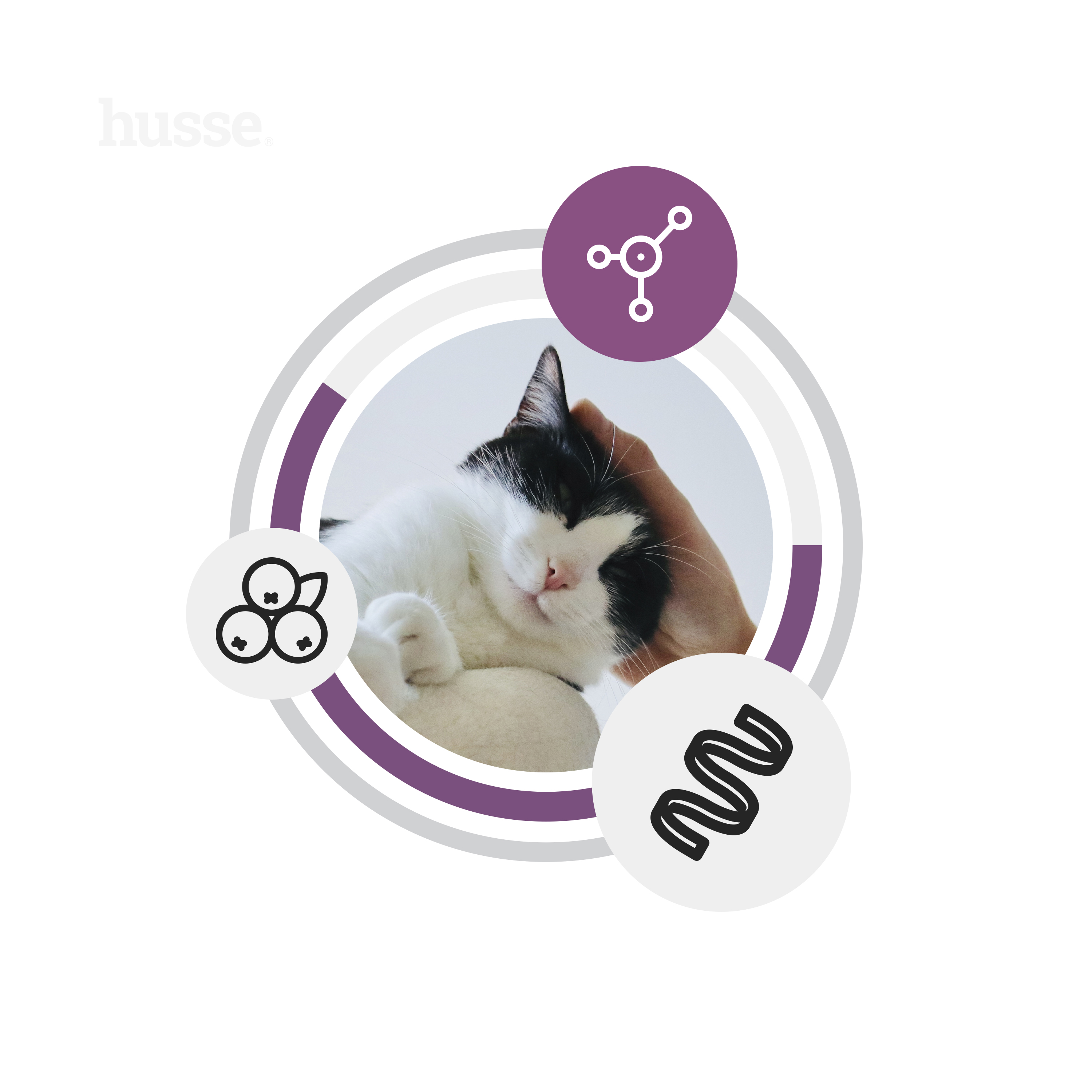 FRESH STERILISED | Hrană uscată completă, fără cereale, cu carne proaspătă de pui, pentru pisici sterilizate