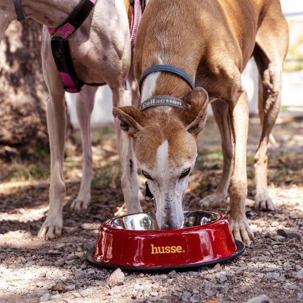 BOL DE INOX, ANTIDERAPANT | Bol potrivit atât pentru mâncare, cât și pentru apă