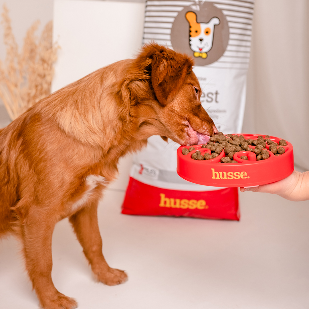 DIGEST SENSITIVE | Hrană uscată completă Super Premium, fără gluten, pentru câini cu sensibilități digestive sau predispuși la alergii