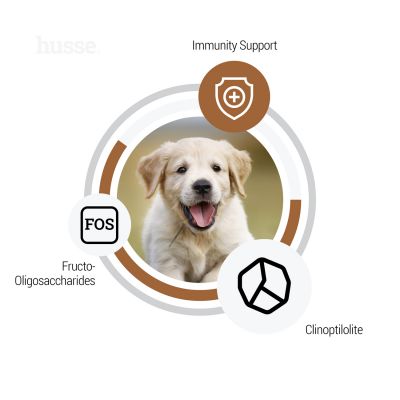VALP DIGEST SENSITIVE (Puppy) | Hrană uscată completă Super Premium, hipoalergenică, pentru cățelușii cu sisteme digestive sensibile sau predispuși la alergii