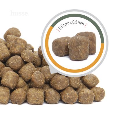 VALP PLUS (Puppy) | Hrană uscată completă Super Premium, cu psyllium și fibre vegetale pentru o digestie optimă