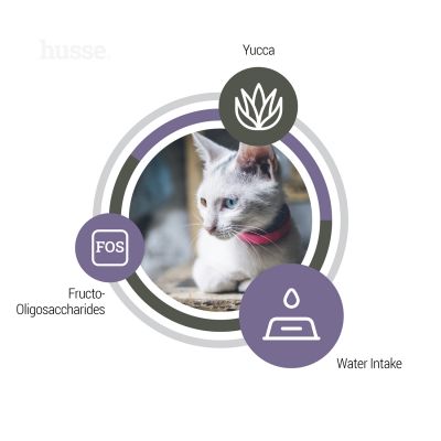 EXCLUSIVE URINARY | Hrană uscată completă Super Premium, realizată pentru susținerea sistemului urinar al pisicilor adulte