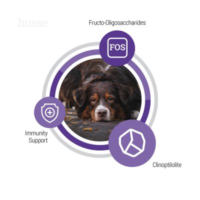 SENIOR | Hrană uscată completă Super Premium, pentru satisfacerea nevoilor nutriționale unice ale câinilor în vârstă