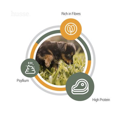 VALP PLUS (Puppy) | Hrană uscată completă Super Premium, cu psyllium și fibre vegetale pentru o digestie optimă