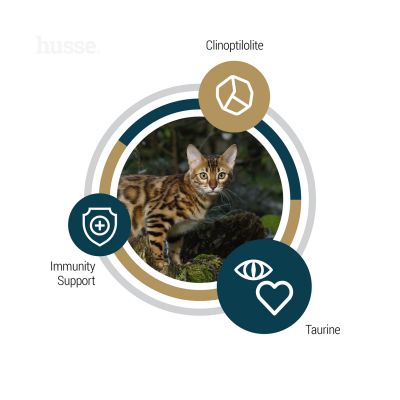 LYNX SENIOR | Hrană uscată completă Super Premium, fără cereale și gluten, pentru pisicile în vârstă