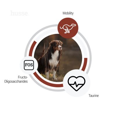 DIGEST GIANT SENSITIVE | Hrană uscată completă Super Premium, hipoalergenică pentru câinii de talie mare cu sensibilități digestive