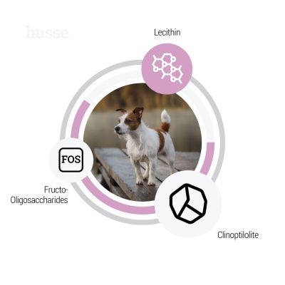 OCEAN CARE SENSITIVE MINI | Hrană uscată completă Super Premium, fără gluten, cu o singură sursă de proteină ​​animală