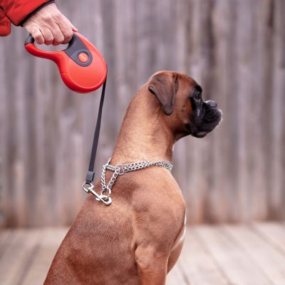 RULLE | Lesă cu sistem retractabil și blocare cu o singură mână