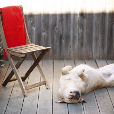 PĂTURĂ HUSSE | Pătură Husse moale și confortabilă, fabricată din fleece