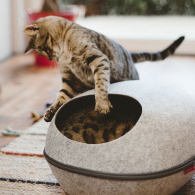 KRYPIN | Culcuș acoperit super confortabil ideal pentru pisici