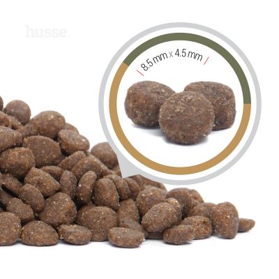 OPUS LYNX | Hrană uscată completă Super Premium, hipoalergenică, fără cereale și gluten, pentru pisici adulte cu sisteme digestive sensibile sau predispuse la alergii