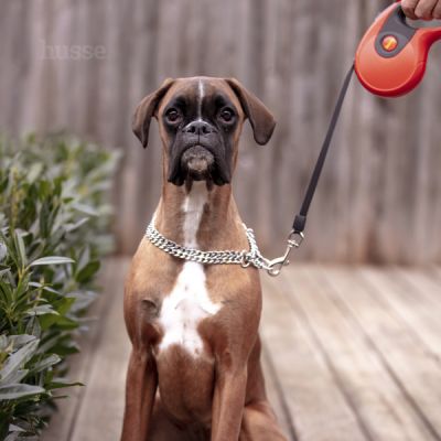 RULLE | Lesă cu sistem retractabil și blocare cu o singură mână