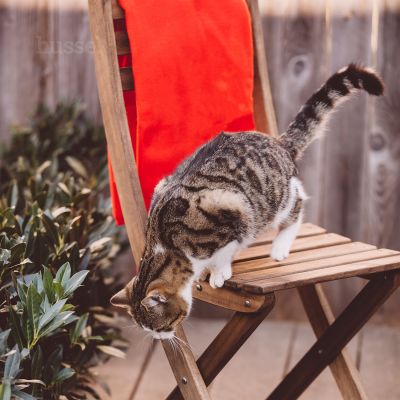 PĂTURĂ HUSSE | Pătură Husse moale și confortabilă, fabricată din fleece