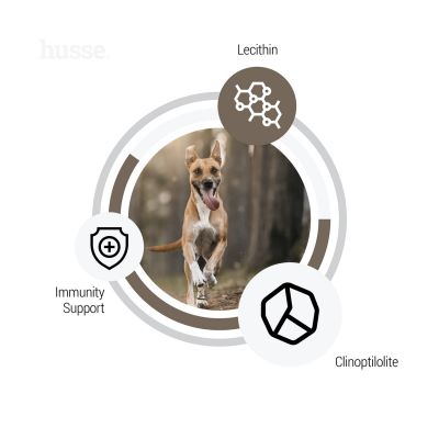 DIGEST SENSITIVE | Hrană uscată completă Super Premium, fără gluten, pentru câini cu sensibilități digestive sau predispuși la alergii