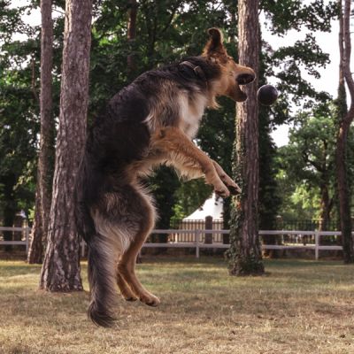 MINGE | Jucărie din cauciuc