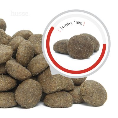 PRO SELEKT | Hrană completă Premium, formulată pentru câini adulți cu intoleranță la gluten