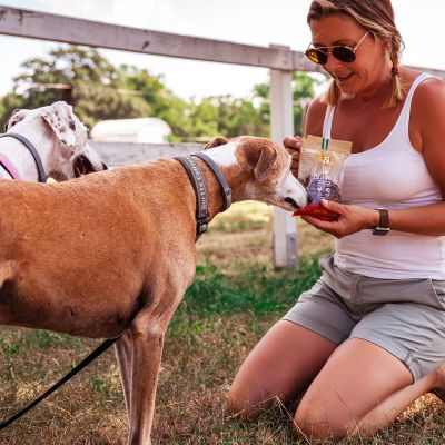 BRAVO L | Gustări delicioase cu miel, fără gluten, pentru câini cu sensibilități digestive