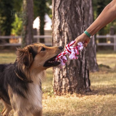 ROPE TOY | Jucărie ideală pentru câini, din frânghie înnodată, foarte rezistentă
