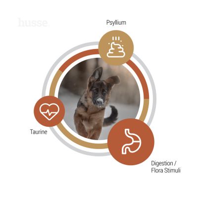 Valp Farm (Puppy) | Hrană uscată completă Super Premium, pentru cățeluși și femele gestante sau care alăptează cu sensibilități și intoleranțe digestive