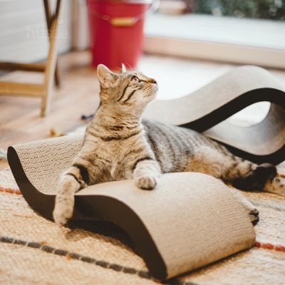 KRUSA | Panou de zgârieturi pentru pisici