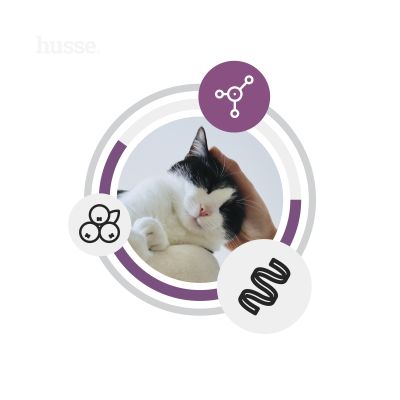 FRESH STERILISED | Hrană uscată completă, fără cereale, cu carne proaspătă de pui, pentru pisici sterilizate