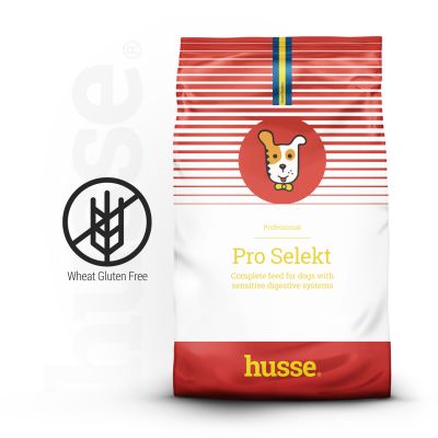 PRO SELEKT | Hrană completă Premium, formulată pentru câini adulți cu intoleranță la gluten
