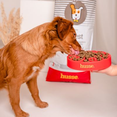 DIGEST SENSITIVE | Hrană uscată completă Super Premium, fără gluten, pentru câini cu sensibilități digestive sau predispuși la alergii