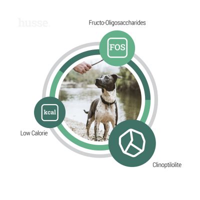 PRIMA PLUS | Hrană uscată completă Super Premium, pentru câinii adulți cu nevoi energetice normale sau scăzute