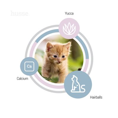 EXCLUSIVE KATTUNGE | Hrană uscată completă Super Premium, pentru pisicuțe și femele care alăptează